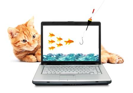 internet-activities internet-activities