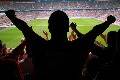 sports-fans sports-fans