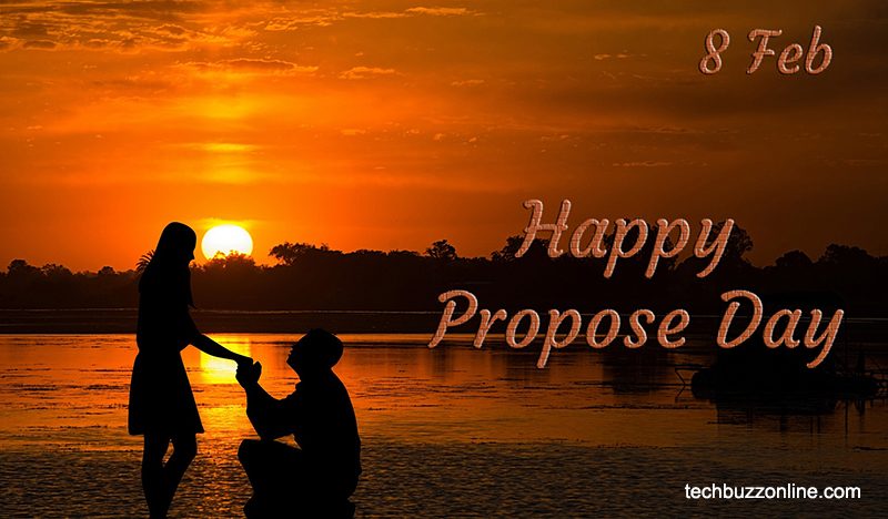 Propose Day Propose Day