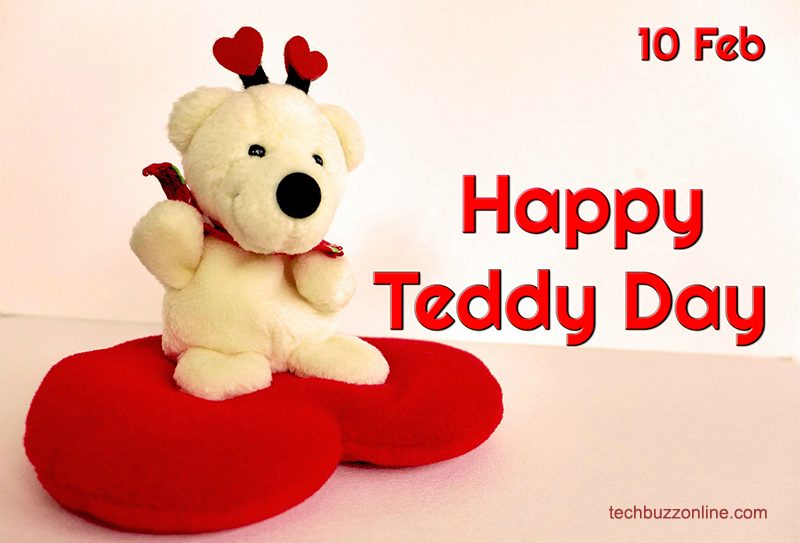 Teddy Day Teddy Day