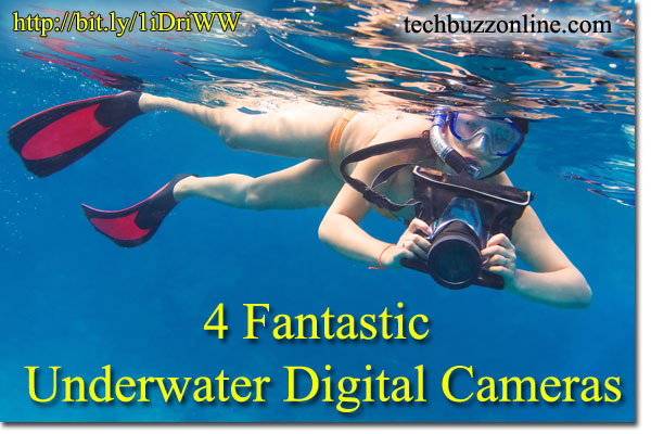 4 Fantastic Underwater Digital Cameras Underwater-digital-cameras