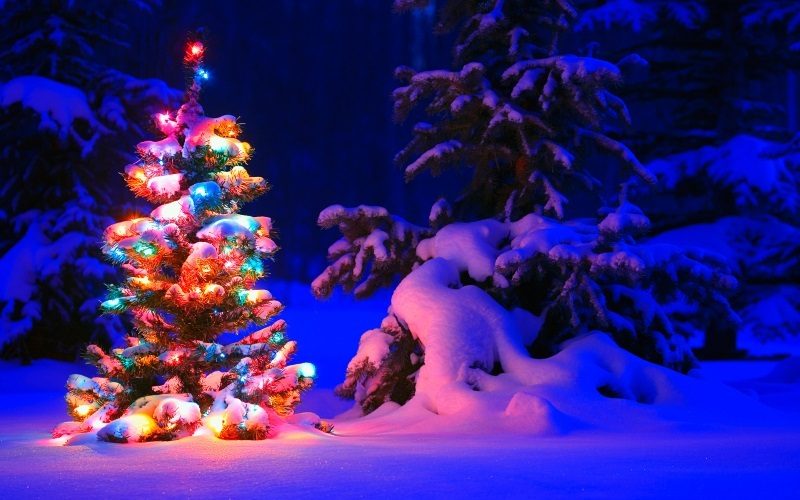 Snowy Christmas Tree with Lights