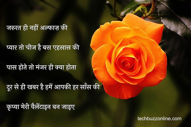 valentine day wishes in hindi 14