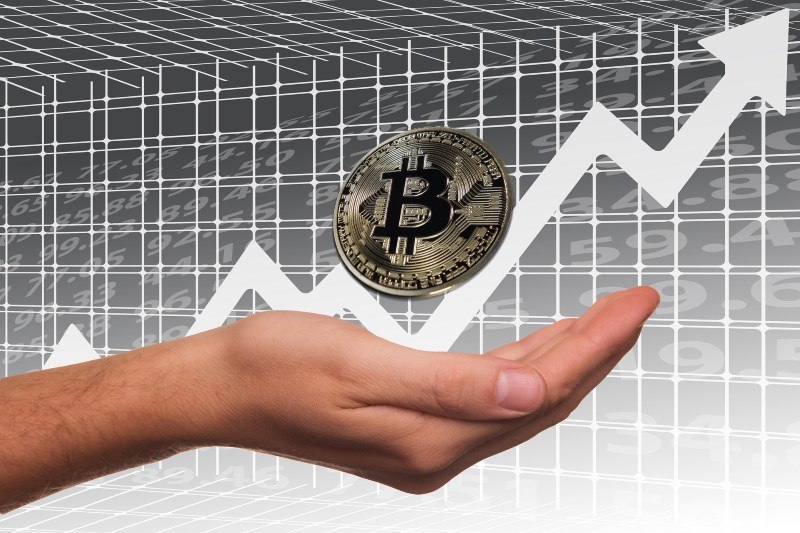 11 bitcoin stock exchange profit share