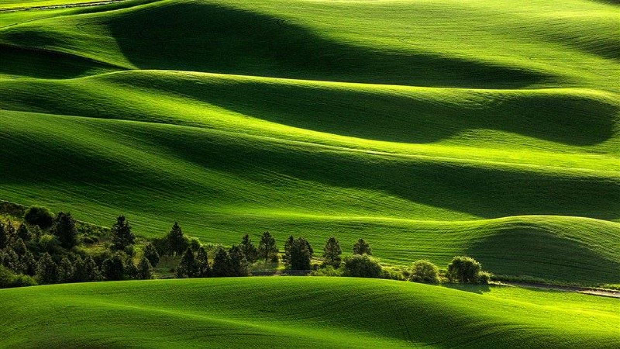 30 Beautiful Nature and Landscape Wallpapers for Your Desktop & Smartphone  - Tech Buzz Online