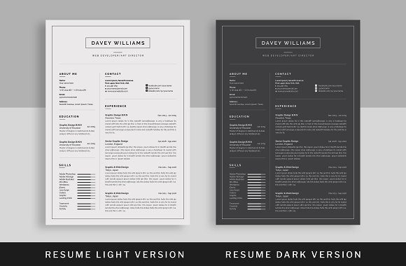 30 resume template light and dark version