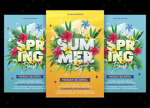Spring Summer Party Flyer
