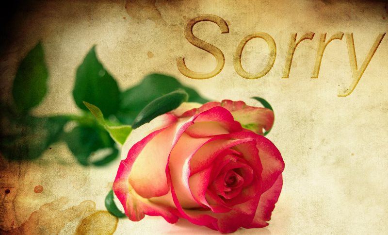 Sorry with Rose Background