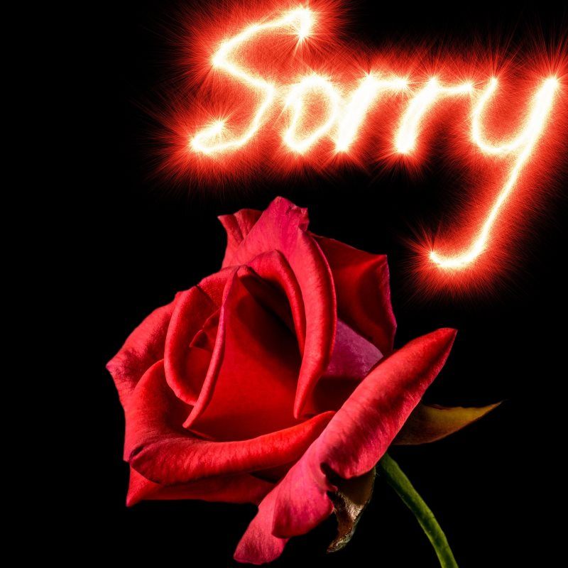 Sorry Text with Red Rose