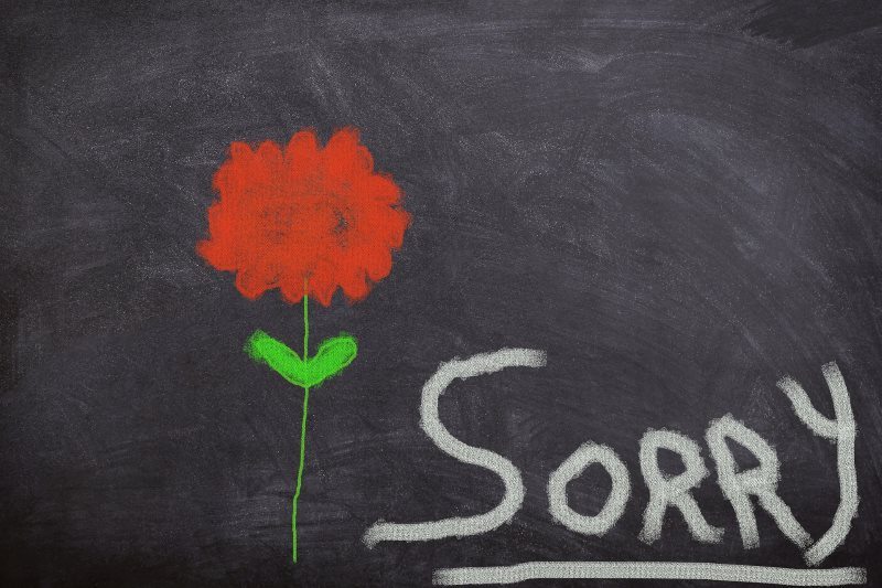 Sorry on Black Board with Red Flower